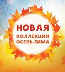 STROBBS: информация по обувным выставкам 2020 года!