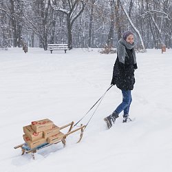 Образцы путешествуют по стране