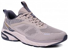 C3882-25 (41-45) кроссовки STRIDE LT M